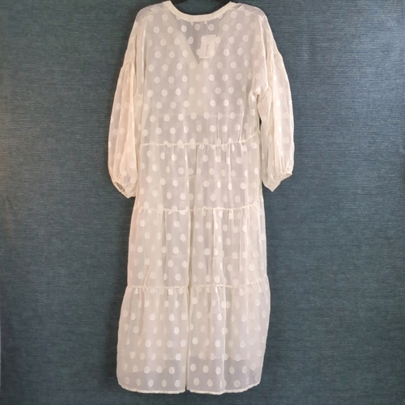 Moon River Sheer Polkadot Tiered Dress - Picture 7 of 13